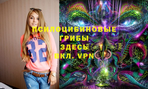 индика Абдулино