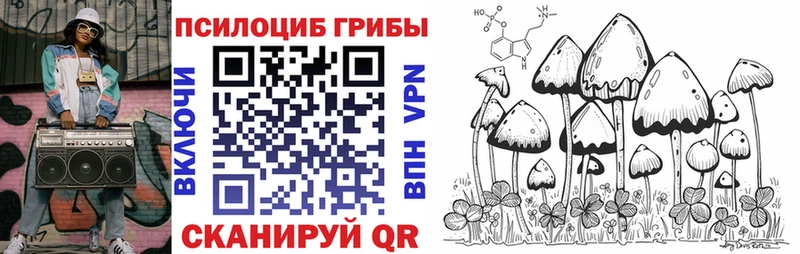 Псилоцибиновые грибы Magic Shrooms  Куровское 